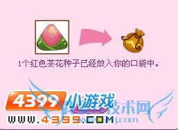 小花仙花之使者的礼物