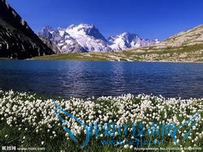 国外的情人节竟然是这个样子