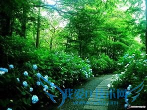 国外的情人节竟然是这个样子