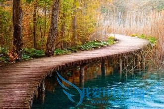 国外的情人节竟然是这个样子