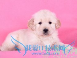 情人节送女朋友什么礼物