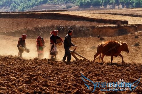 十大理财比喻,个个戳中萌点