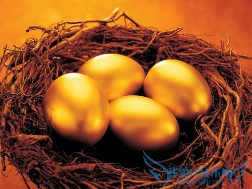 新时代女性理财有哪些妙招