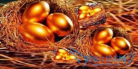 新手理财攻略,温馨分享