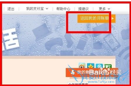 怎么看支付宝账单