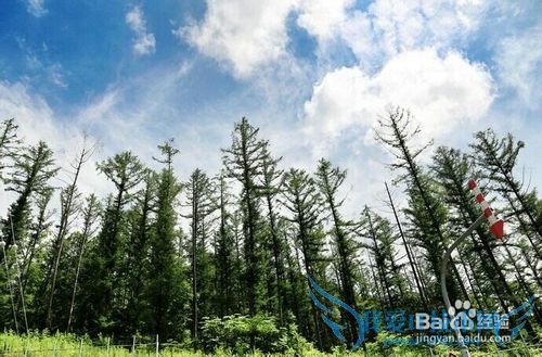 毕业生就职理财320