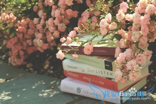 通向理财的书籍之路