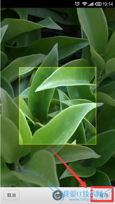 支付宝钱包头像怎么修改,手机支付宝钱包换头像