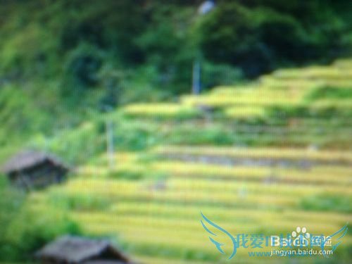 合理规划你的收入