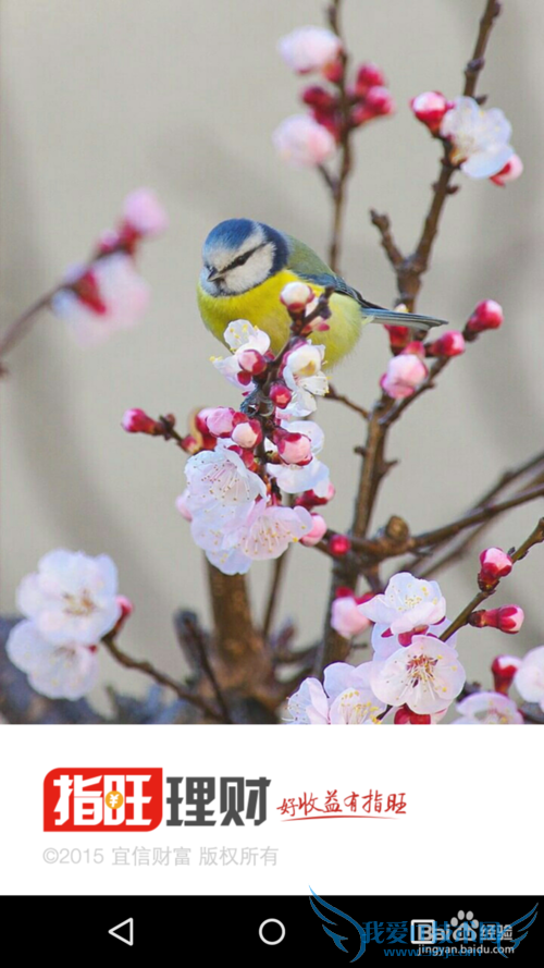 指旺理财怎么使用