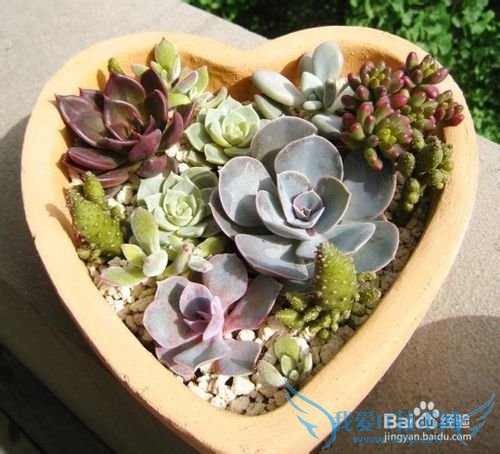 2014年情人节送女朋友什么礼物最特别