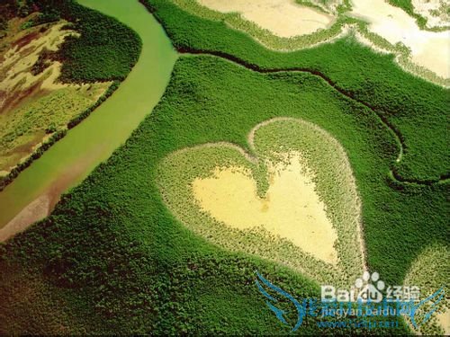 母亲节送给妈妈最用心的礼物