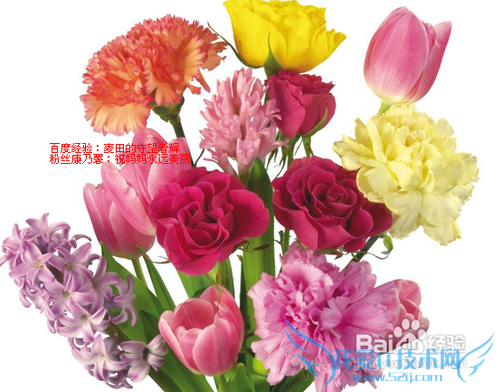 三八妇女节送什么礼物好