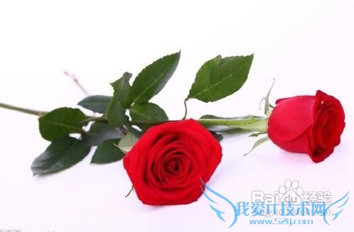 圣诞节送什么礼物给女朋友