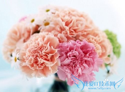 母亲节送什么?母亲节礼物排行榜