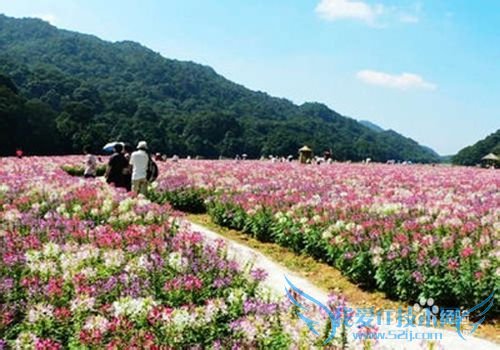 母亲节送什么?母亲节礼物排行榜