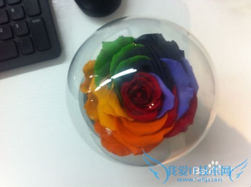 什么礼物可以感动到哭的惊喜