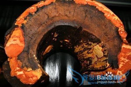 ʮ͸ĸʲô͸ĸҪа