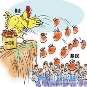 当我持有基金时,我会注意什么?