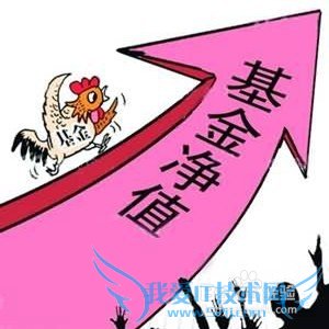 当我持有基金时,我会注意什么?