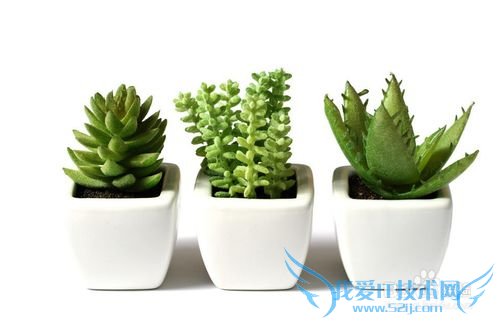 送什么礼物给女朋友浪漫而有心意