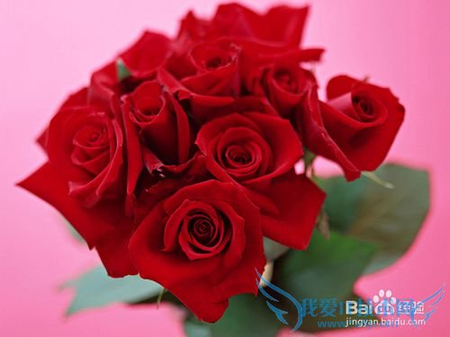 情人节送女孩什么礼物好