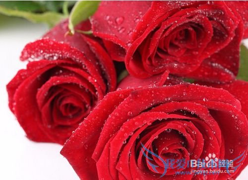 平安夜送老婆什么礼物