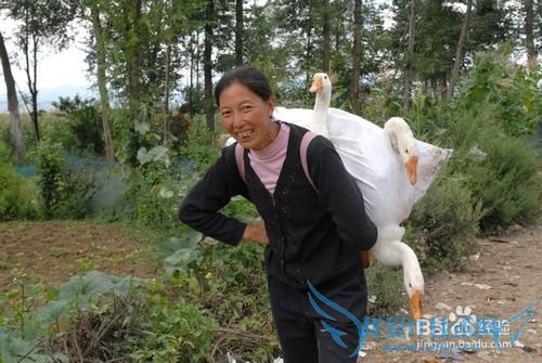 过年回娘家带些什么礼物