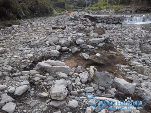 山溪养鱼不可取