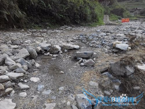 山溪养鱼不可取