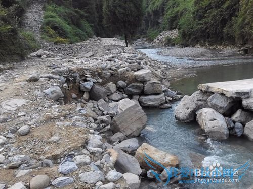 山溪养鱼不可取