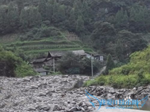 山溪养鱼不可取