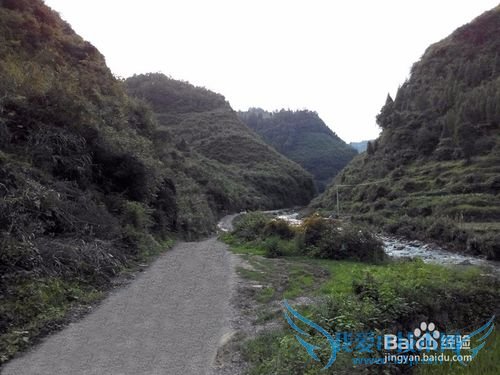 山溪养鱼不可取