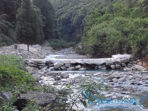 山溪养鱼不可取