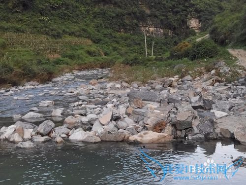 山溪养鱼不可取