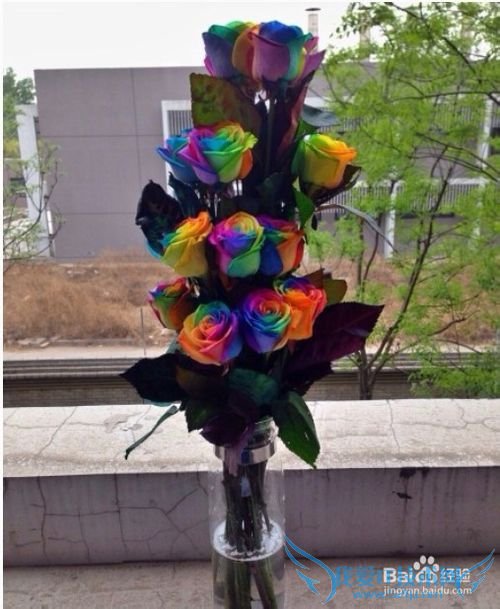 结婚纪念日送老婆什么礼物(结婚纪念日)