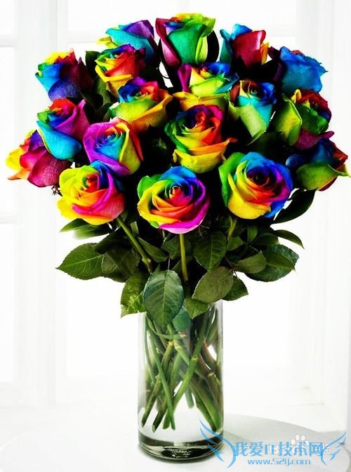 结婚纪念日送老婆什么礼物(结婚纪念日)