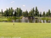 如何选择理财项目