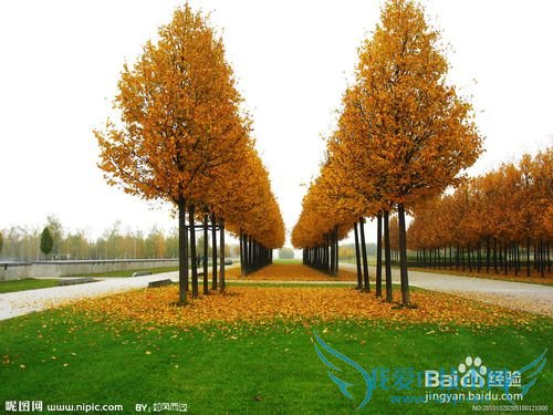 如何选择理财项目