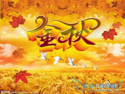 如何选择理财项目