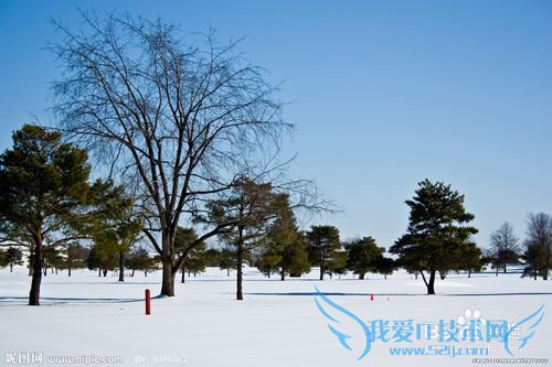 如何选择理财项目