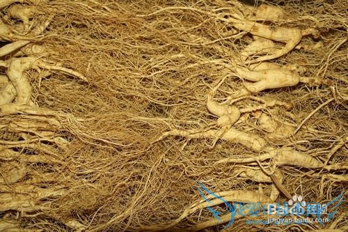 2014年春节送什么礼物更有意义呢