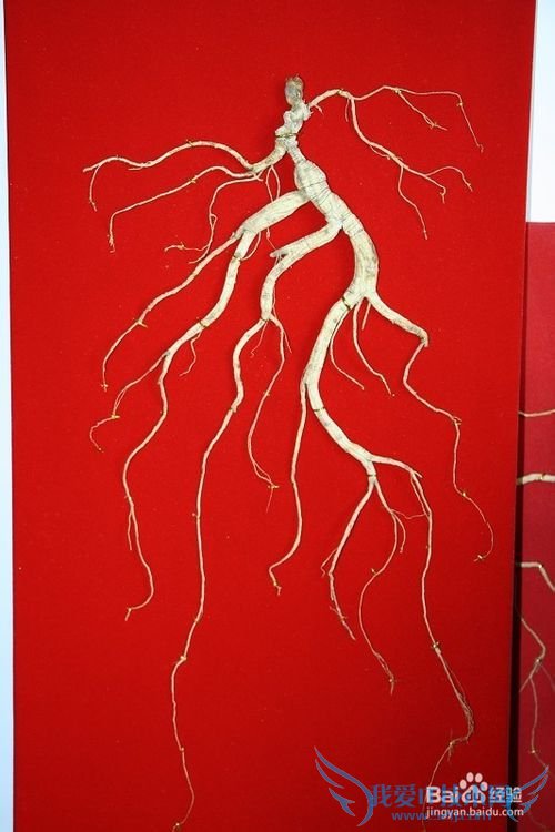 2014年春节送什么礼物更有意义呢