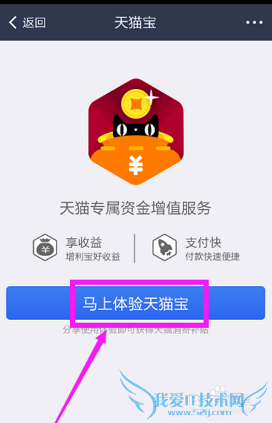 使用手机支付宝怎么查看天猫宝