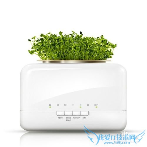 朋友乔迁之喜,送什么礼物好呢?