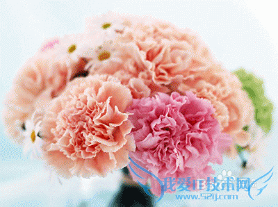 母亲节送礼物 首选这三种