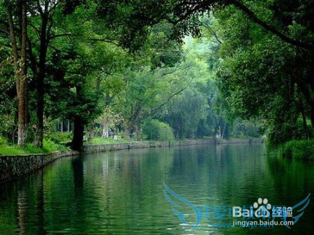 母亲节送礼物 首选这三种