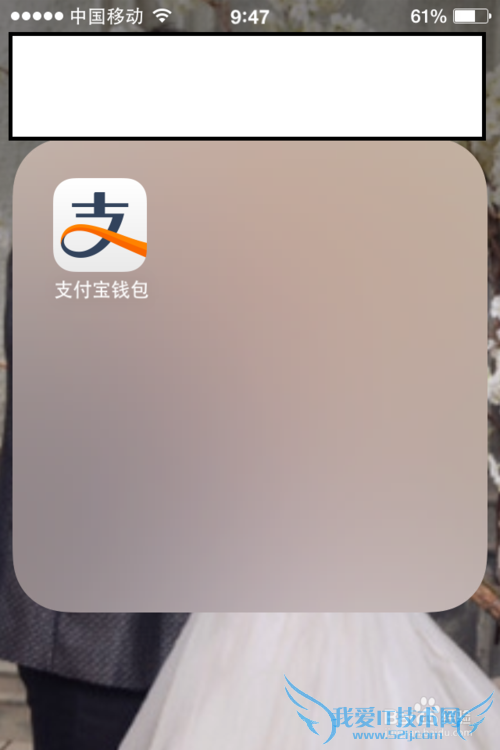 Ö§¸¶±¦µÄÓ÷¨¡£