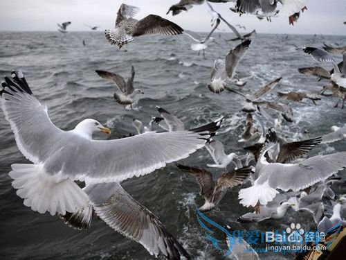 “土豪”们都知道的理财小知识