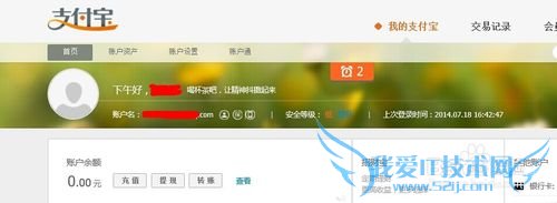 查看支付宝的收入和支出的金额